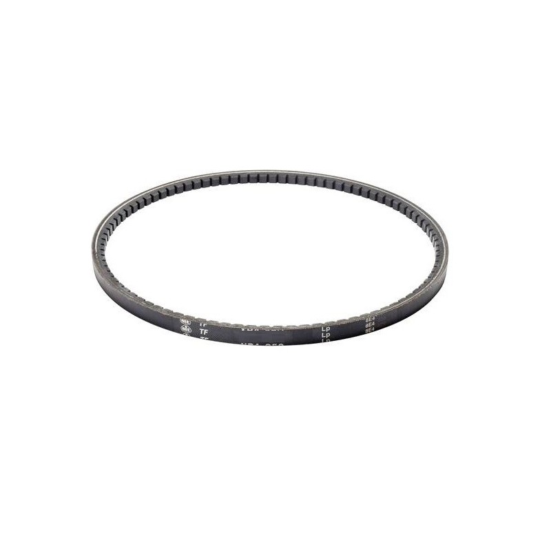 courroie-gianni-ferrari-00111980021