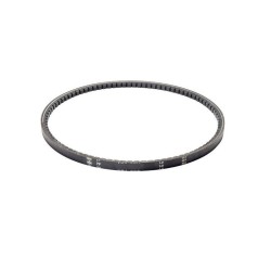 courroie-gianni-ferrari-95599530000-00111980031