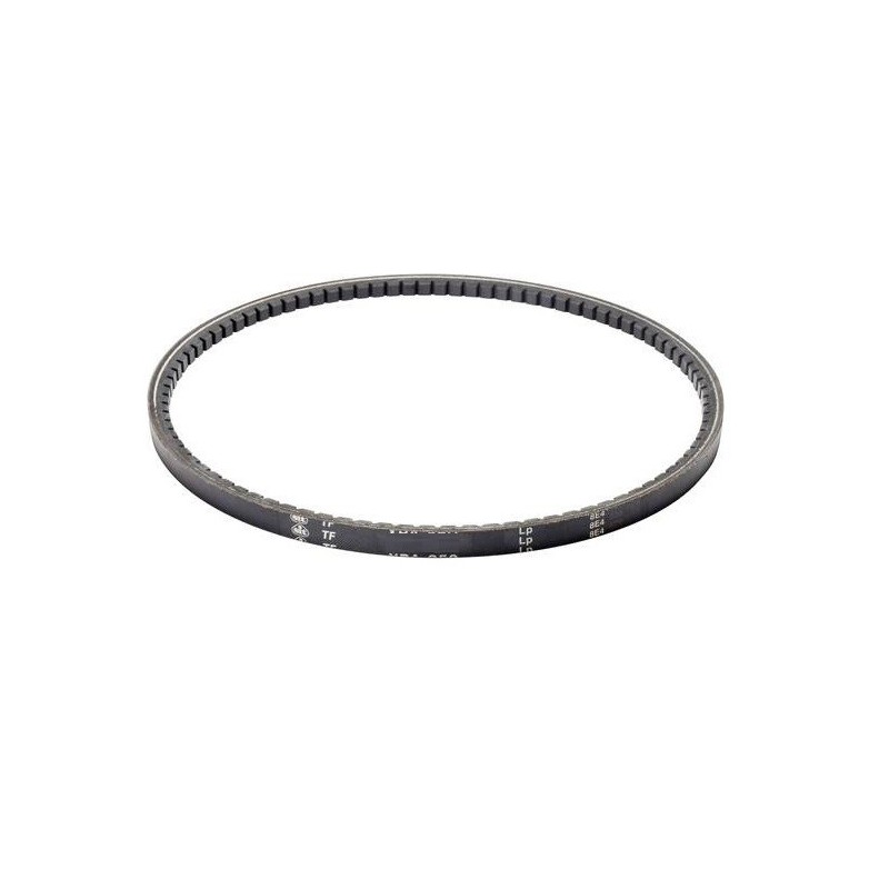 courroie-gianni-ferrari-95599530000-00111980031