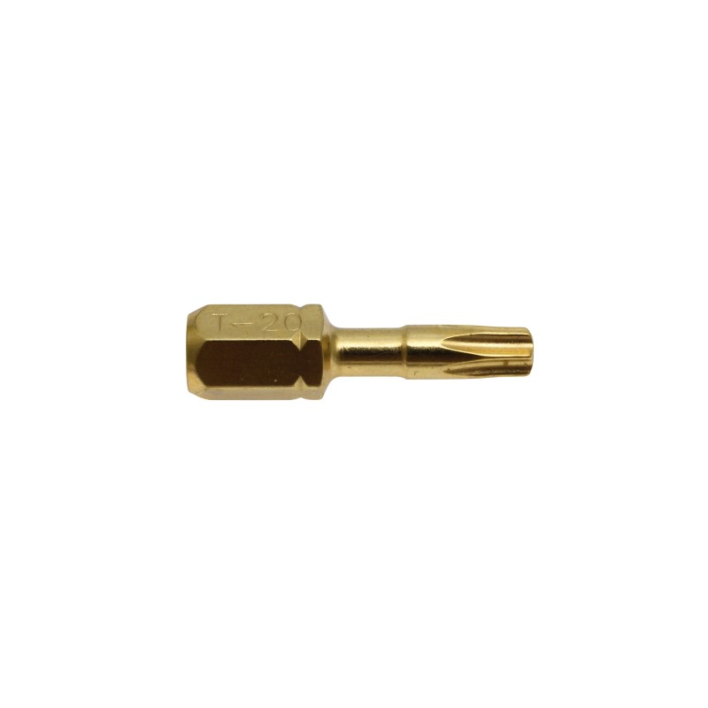 embout-torx10-25mm-2pcs-makita-dolmar-b-28391
