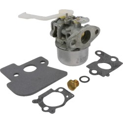 carburateur-complet-briggs-et-stratton-694203-690152