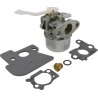 carburateur-complet-briggs-et-stratton-694203-690152
