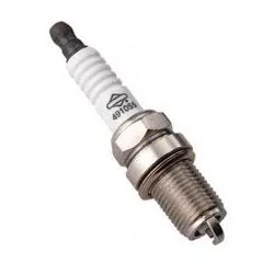 bougie-bs12yc-briggs-et-stratton-992304
