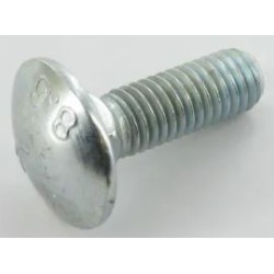 vis-japy-etesia-wolf-5347