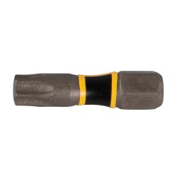 embout-torx30-25mm-2pcs-impact-premier-makita-dolmar-e-03230