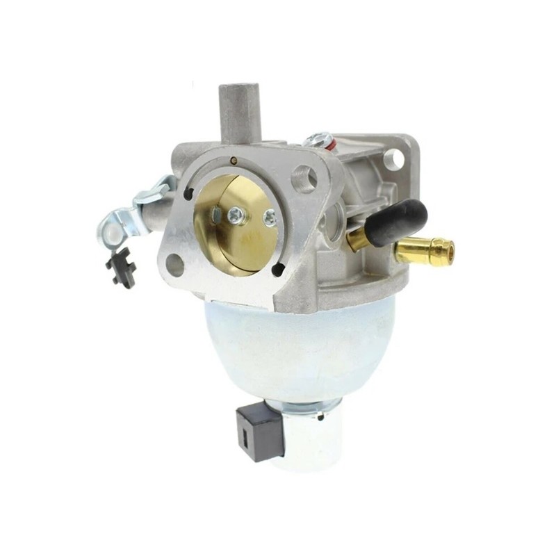 carburateur-briggs-et-stratton-846280-808725