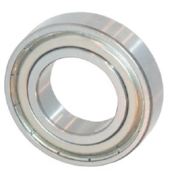 roulement-delmorino-41000063