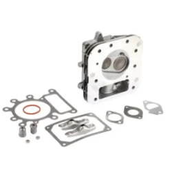 culasse-briggs-et-stratton-796183