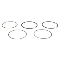 kit-de-segments-briggs-et-stratton-592660