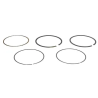 kit-de-segments-briggs-et-stratton-592660