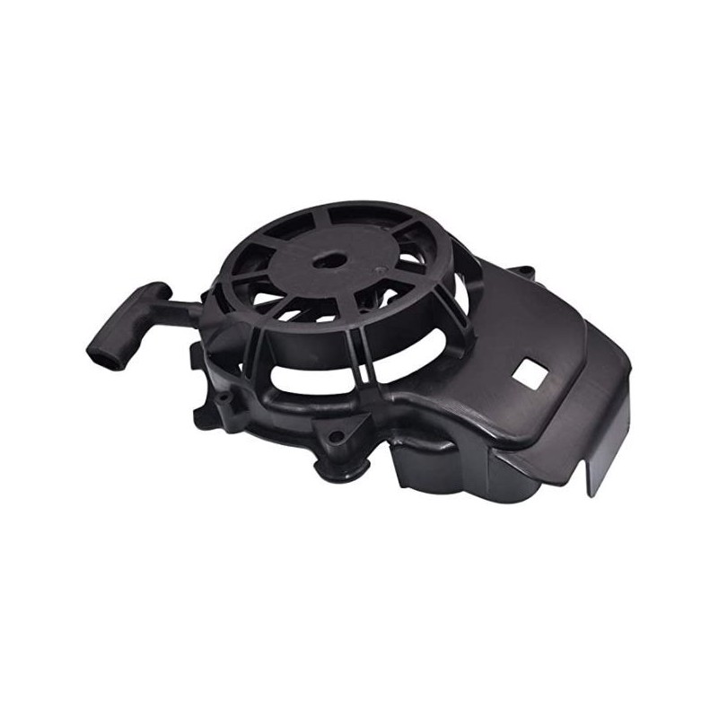 lanceur-briggs-et-stratton-594062