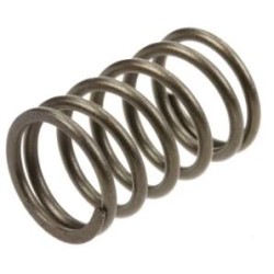 soupape-a-ressort-briggs-et-stratton-590532