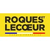 Ressort débroussailleuse Roques et Lecoeur 130069, RL130069, RL0305010023