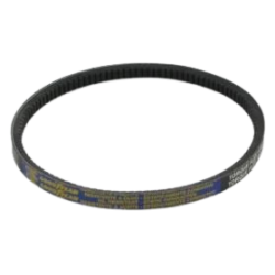 courroie-13x560-etesia-wolf-24825