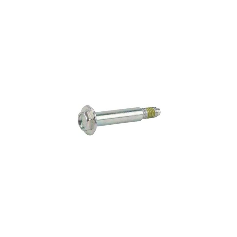 screw-briggs-et-stratton-591307