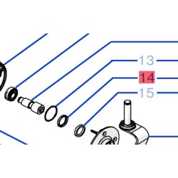 joint-etesia-wolf-33809