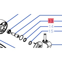 joint-etesia-wolf-33810