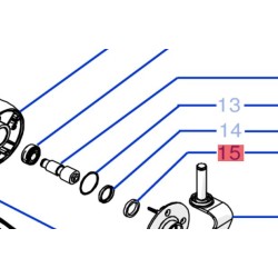 joint-etesia-wolf-33826