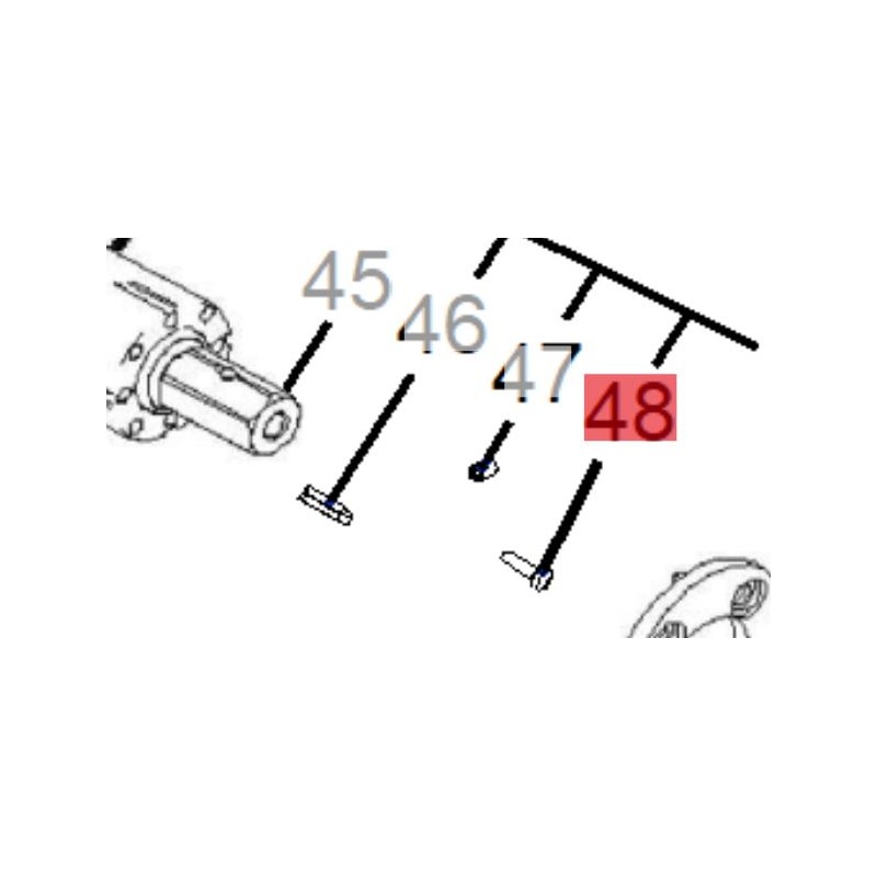 vis-etesia-wolf-71738
