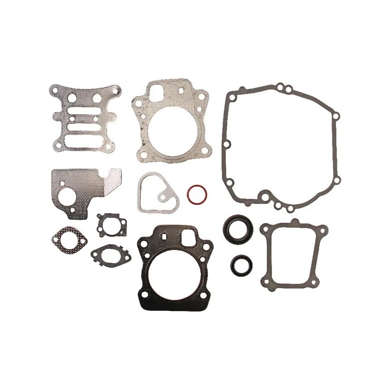 gasket-set-engine-briggs-et-stratton-592173