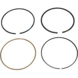 kit-de-segments-std-briggs-et-stratton-590402