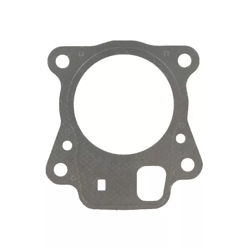 joint-de-culasse-briggs-et-stratton-796475 joint-de-culasse-briggs-et-stratton-796475