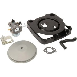 carburateur-briggs-et-stratton-847393