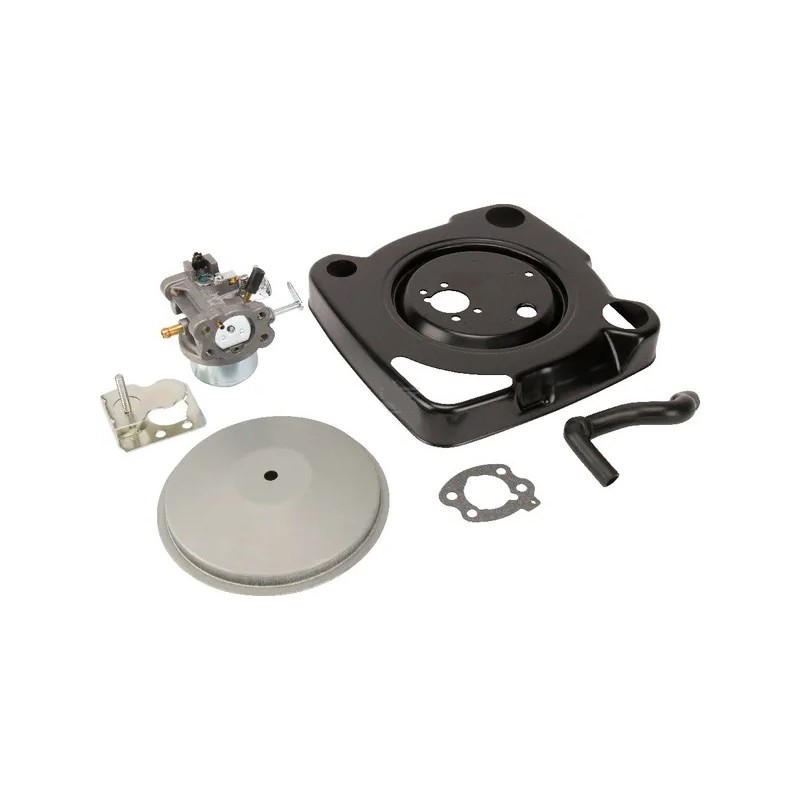 carburateur-briggs-et-stratton-847393