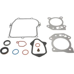kit-d-etancheite-briggs-et-stratton-595350