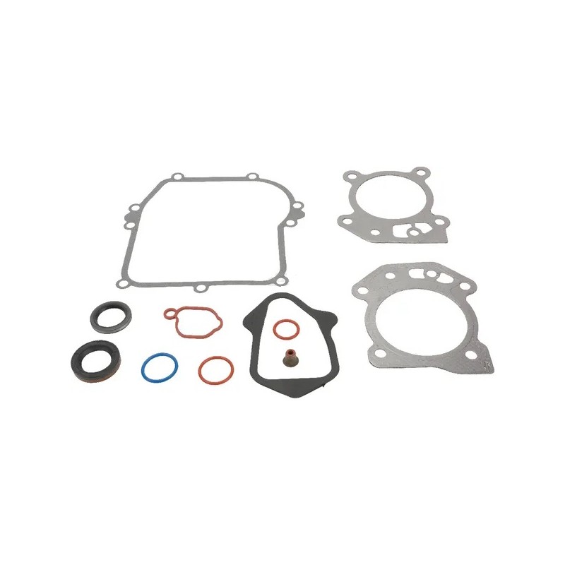 kit-d-etancheite-briggs-et-stratton-595350