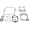 kit-d-etancheite-briggs-et-stratton-595350