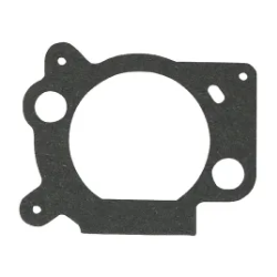 joint-de-filtre-briggs-et-stratton-691894