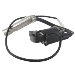 bobine-electronique-118551438-0-ggp-castelgarden-stiga