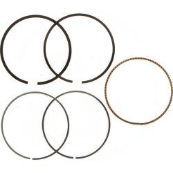 kit-de-segments-std-briggs-et-stratton-795690