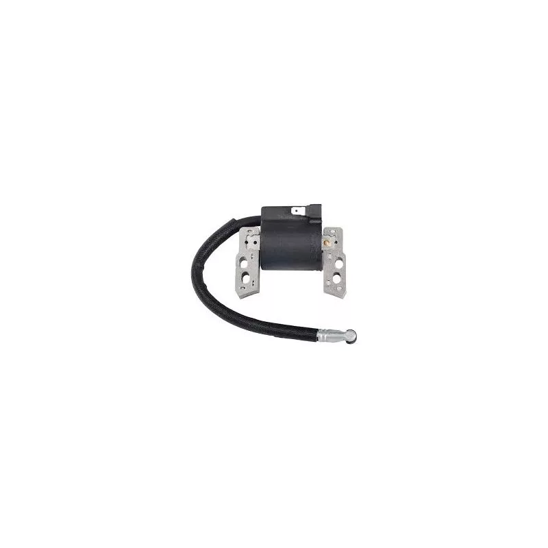 bobine-allumage-briggs-et-stratton-695711-796964-492416-555530
