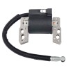 bobine-allumage-briggs-et-stratton-695711-796964-492416-555530