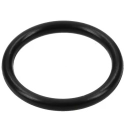 joint-torique-briggs-et-stratton-799581