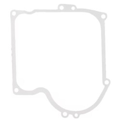 joint-de-carter-briggs-et-stratton-270915