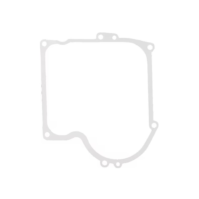 joint-de-carter-briggs-et-stratton-270915