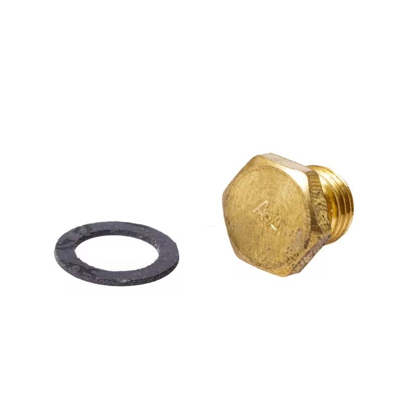 gicleur-principal-briggs-et-stratton-498978