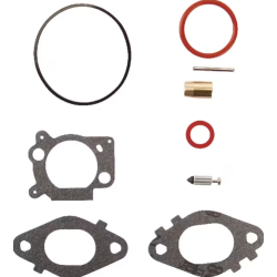 kit-carb-overhaul-briggs-et-stratton-592172