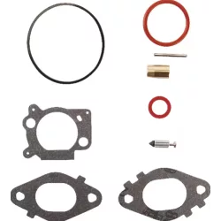 kit-carb-overhaul-briggs-et-stratton-592172