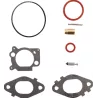 kit-carb-overhaul-briggs-et-stratton-592172