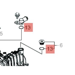 joinbouchreshuil-etesia-wolf-28196