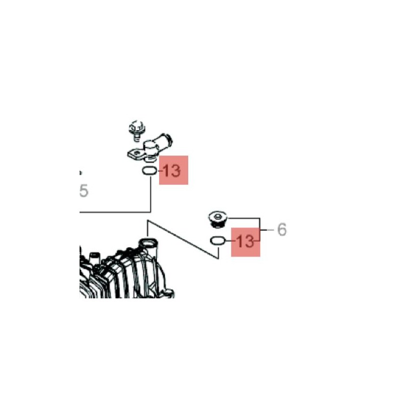 joinbouchreshuil-etesia-wolf-28196