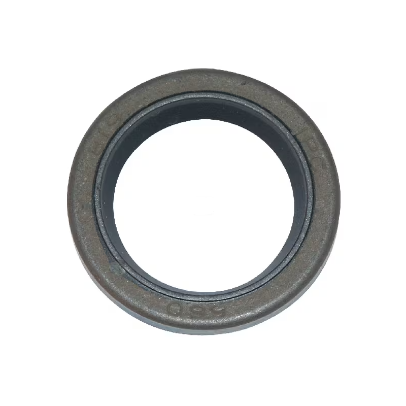 joint-a-levre-briggs-et-stratton-299819s