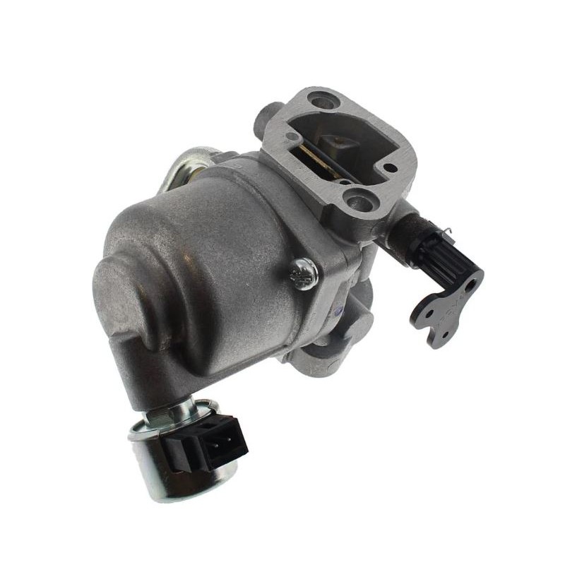 carburateur-briggs-et-stratton-591678