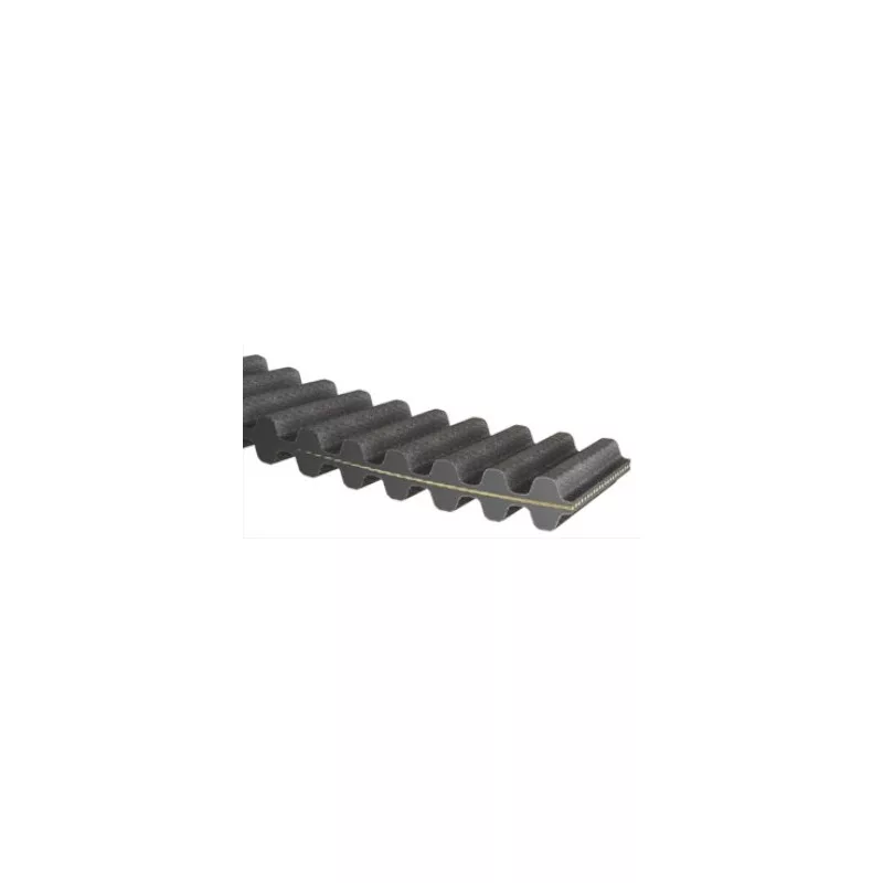 courroie-double-crantee-optibelt-ds8m200025-250ds8m2000-25x2000-250d courroie-double-crantee-optibelt-ds8m200025-250ds8m2000-25x2000-250d
