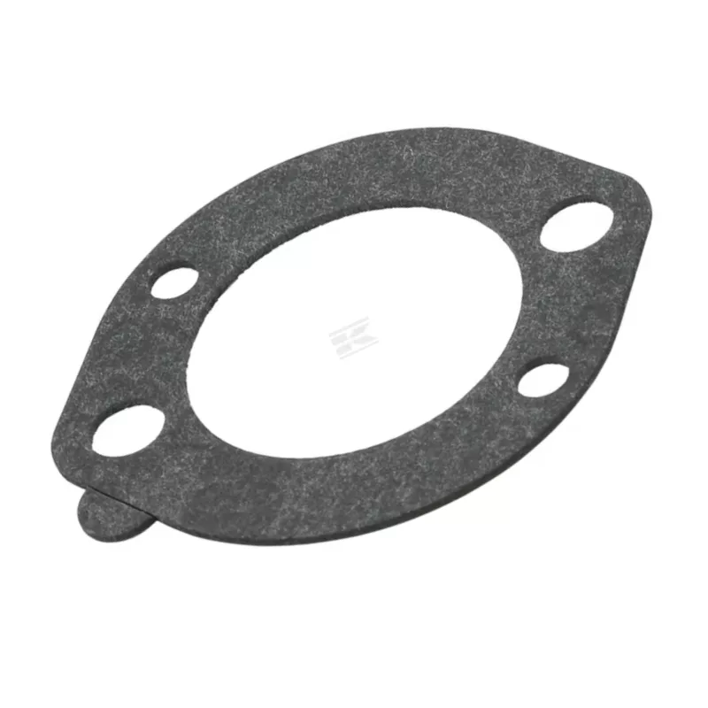 joint-moteur-briggs-et-stratton-696024 joint-moteur-briggs-et-stratton-696024