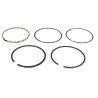 kit-segments-moteur-kohler-k-301-48-108-01s-4010801-4010801s-235889-235889s